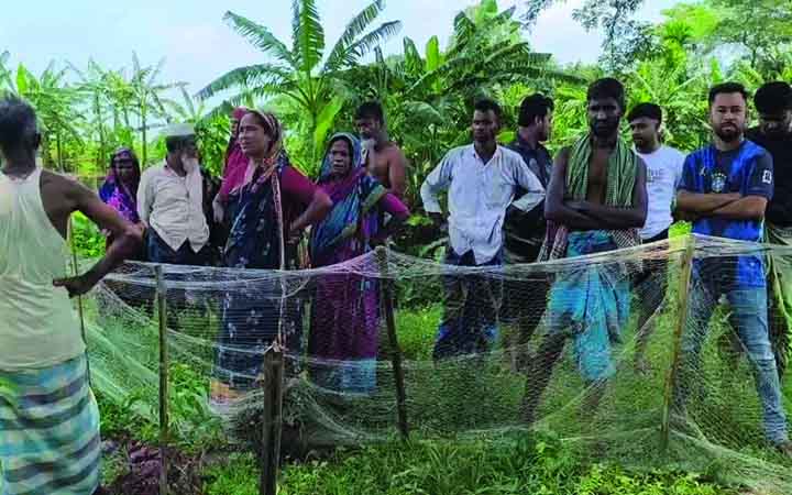 শরীয়তপুরে ককটেল বিস্ফোরণে শিশুর কবজি বিচ্ছিন্ন